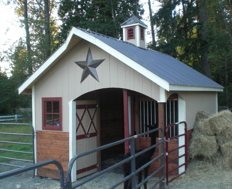 Mini Horse Barn