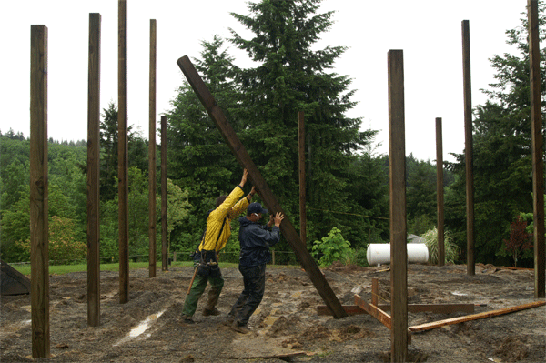 Barn Raising or Barn Construction