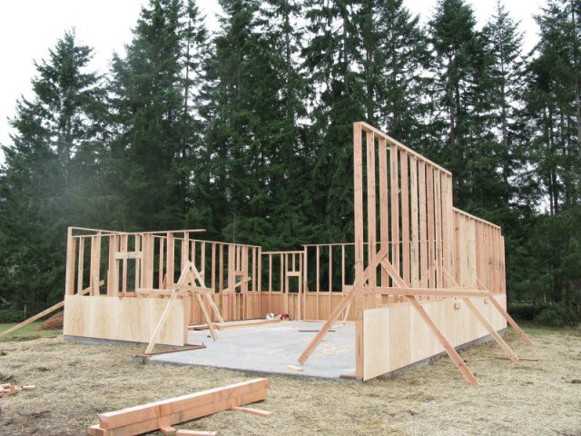 build a cabin